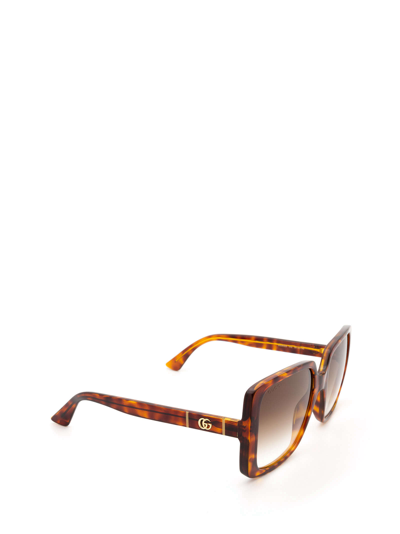 Shop Gucci Gg0632s Havana Sunglasses
