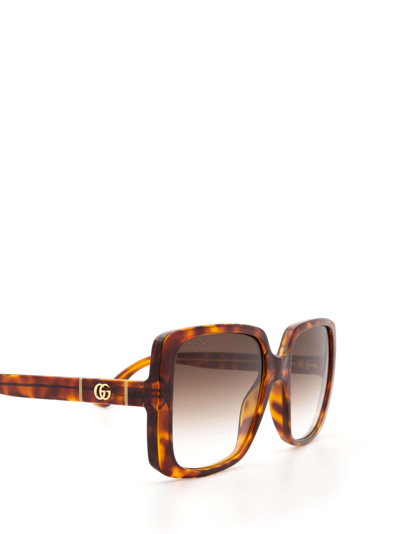 Shop Gucci Gg0632s Havana Sunglasses