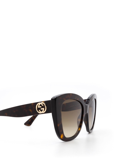 Shop Gucci Gg0327s Havana Sunglasses