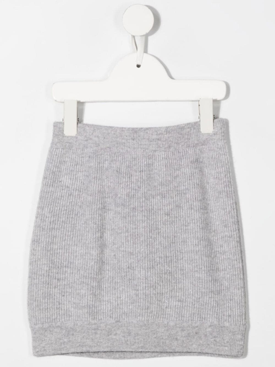 Shop Brunello Cucinelli Drawstring Knitted Skirt In Grey