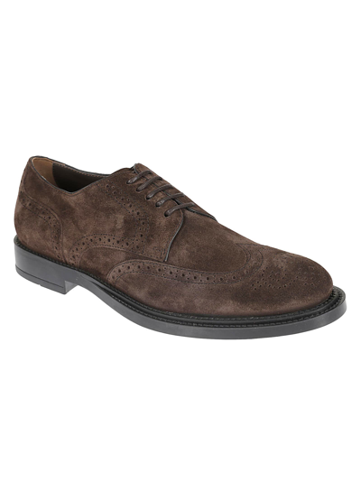 Shop Tod's Bucature Derby Shoes In Brown