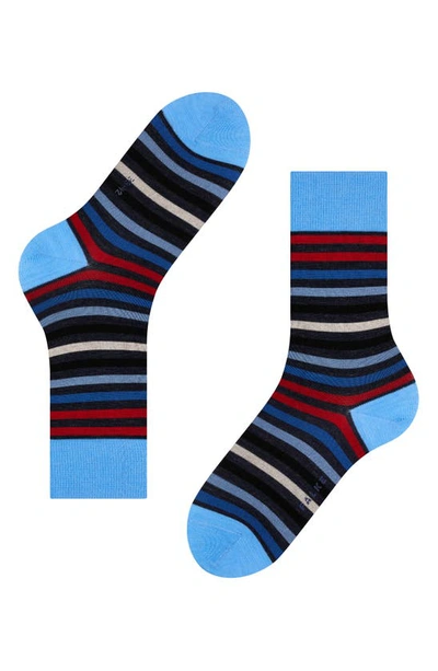 Shop Falke Tinted Stripe Wool Blend Crew Socks In Dark Sapphire-scarlet