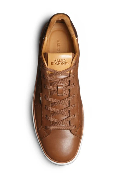 Allen Edmonds Men's Alpha Leather Low-top Sneakers In Walnut