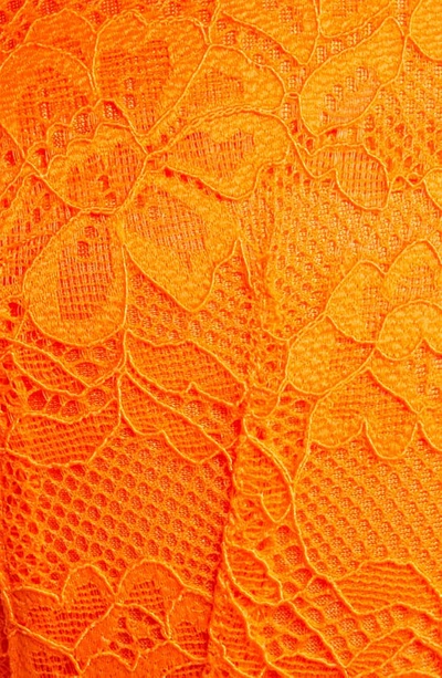 Shop Ann Summers Planet Orange Lace Padded Underwire Bra