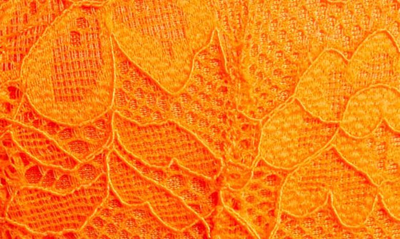 Shop Ann Summers Planet Orange Lace Padded Underwire Bra