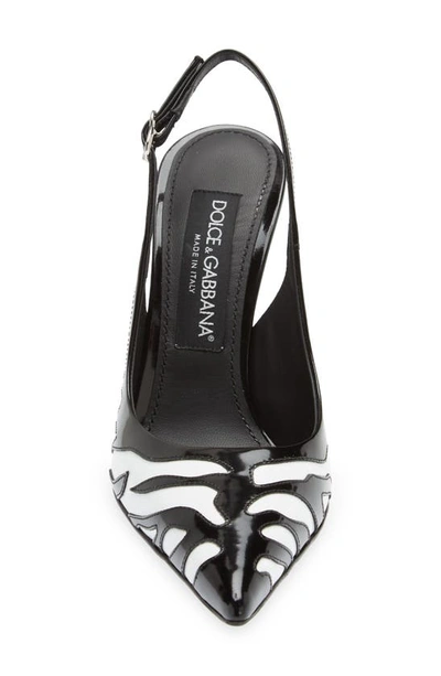 Shop Dolce & Gabbana Lollo Pointed Toe Slingback Pump In Black/ White