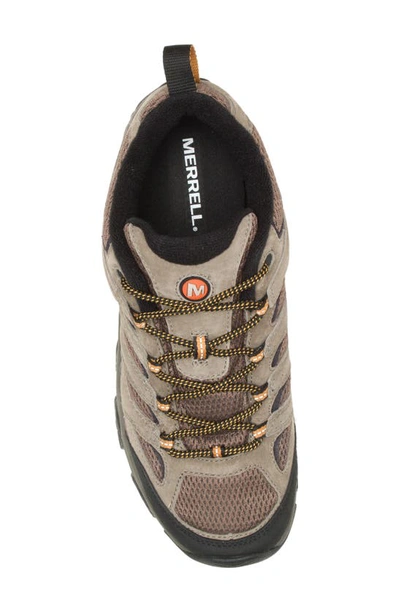 Merrell Moab 2 Low-top Sneakers In Walnut