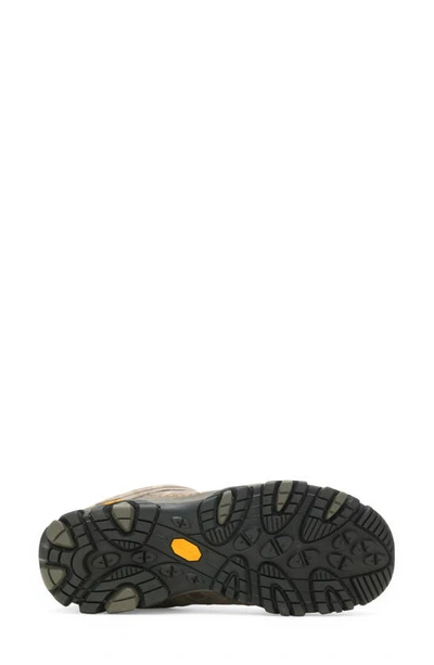 Merrell Moab 2 Low-top Sneakers In Walnut