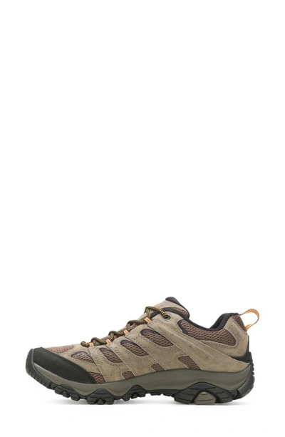 Merrell Moab 2 Low-top Sneakers In Walnut