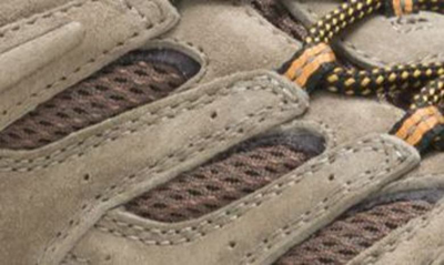 Merrell Moab 2 Low-top Sneakers In Walnut