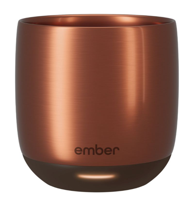 Shop Ember Stainless Steel Smart Mug (6oz) In Metallic
