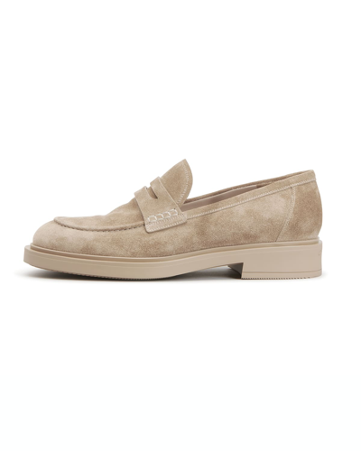 Shop Gianvito Rossi Suede Flat Penny Loafers In Mousse