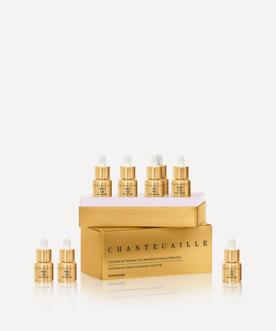 Shop Chantecaille Gold Recovery Intense Concentrate Am Pm 8 X 6ml