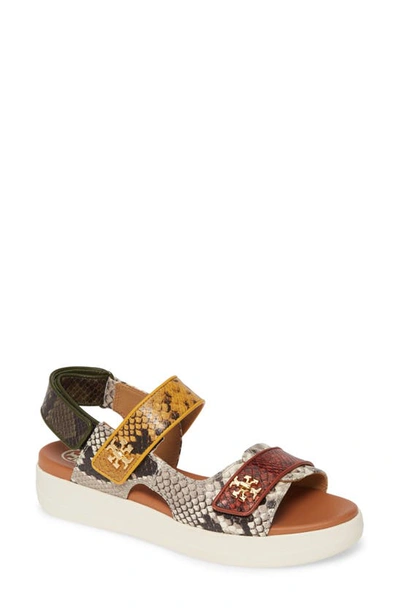 Shop Tory Burch Kira Sport Sandal In Warm Roccia / Dark Sienna