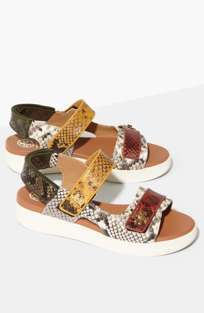 Shop Tory Burch Kira Sport Sandal In Warm Roccia / Dark Sienna