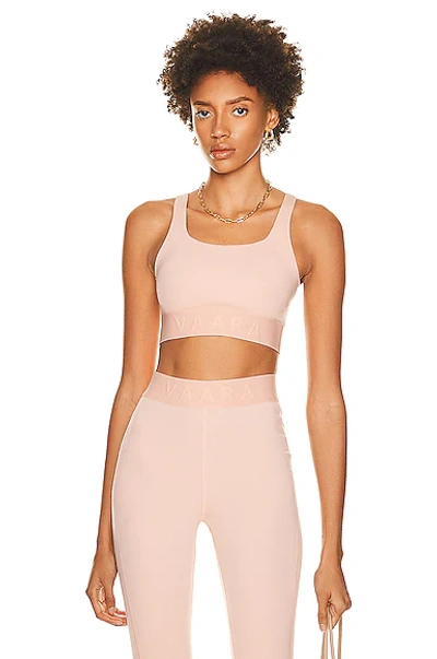 Mesh back sports bra 2025