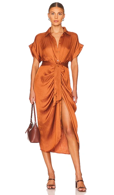 Shop Steve Madden Tori Midi Dress In Mocha Bisque