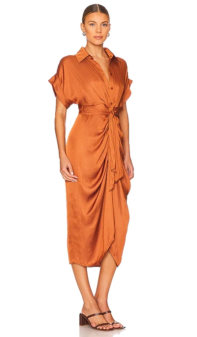 Steve Madden Tori Tie Waist Midi Shirtdress In Mocha Bisque