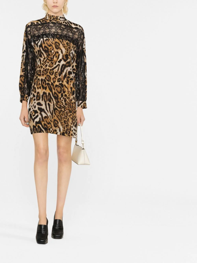 Shop Boutique Moschino Leopard-print Lace Mini Dress In Neutrals