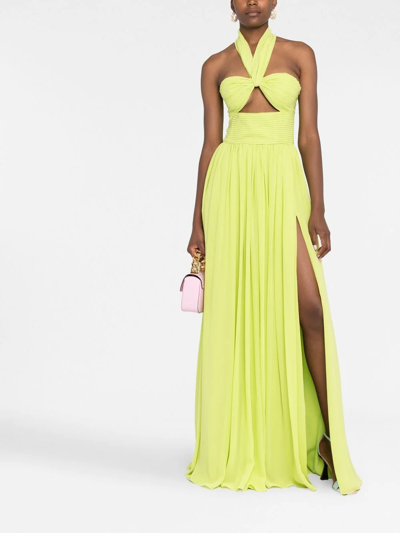 Shop Elie Saab Halterneck Pleated Gown In Green