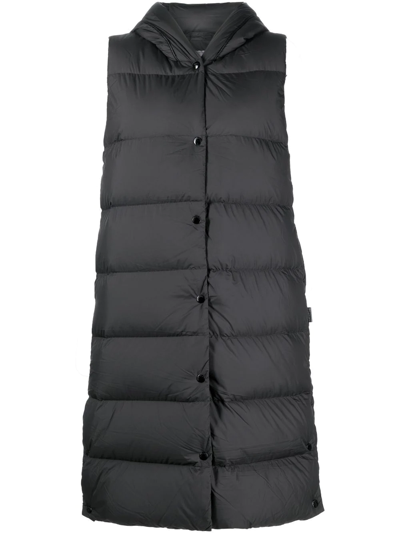 Shop Woolrich Quilted Padded Gilet In Black