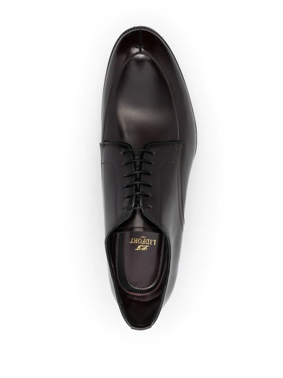 Shop Lidfort Lace-up Leather Derby Shoes In Braun