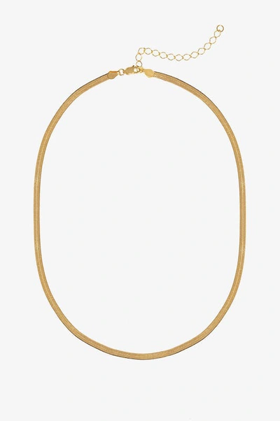 Shop Anine Bing Ribbon Coil Necklace In Gold