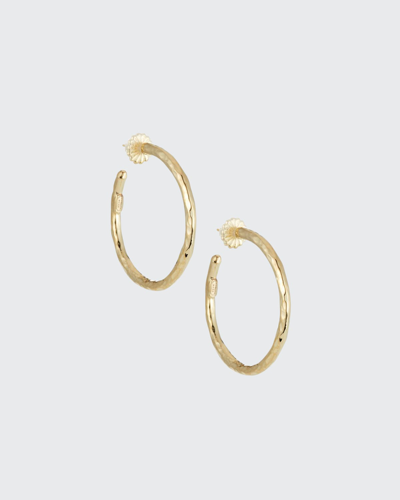 Shop Ippolita Medium Hammered Hoop Earrings In 18k Gold In Yellow Gold