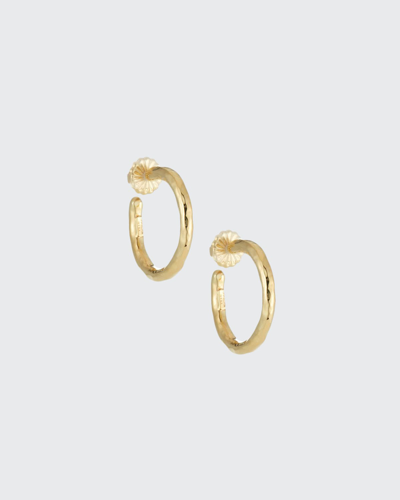 Shop Ippolita Small Hammered Hoop Earrings In 18k Gold In Yellow Gold