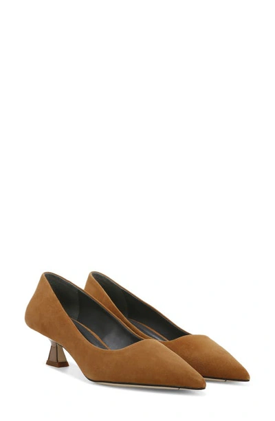 Sarto By Franco Sarto Diva Pointed Toe Pump In Whiskey
