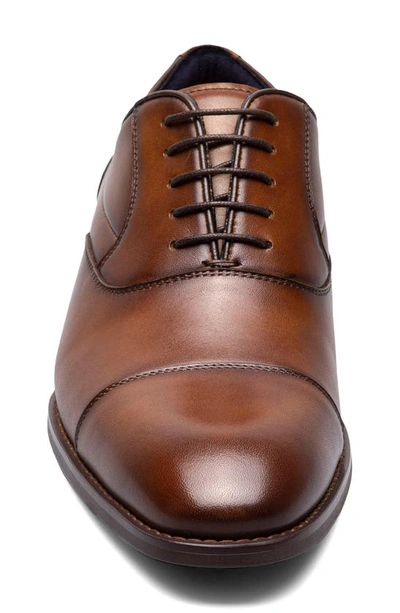 Shop Stacy Adams Kallum Cap Toe Oxford In Cognac