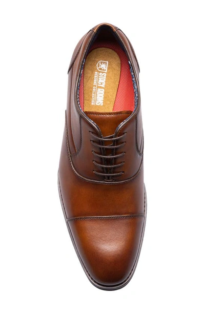 Shop Stacy Adams Kallum Cap Toe Oxford In Cognac