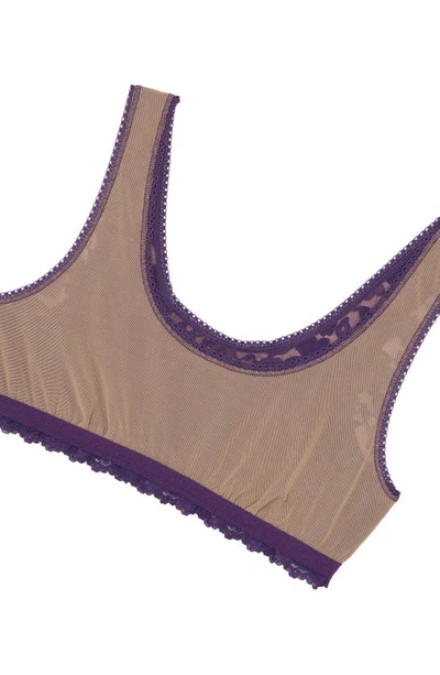 Shop Hanky Panky Daily Lace Overlay Scoop Neck Bralette In Cassis Purple
