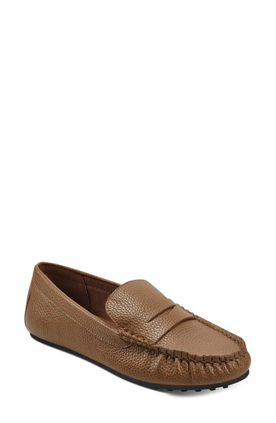 Shop Aerosoles Penny Driver Loafer In Tan