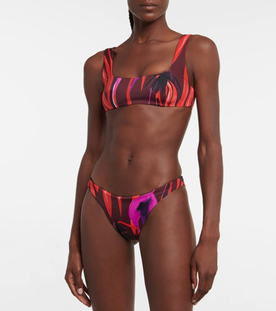 Shop Louisa Ballou Scoop Printed Bikini Top In Red Raven