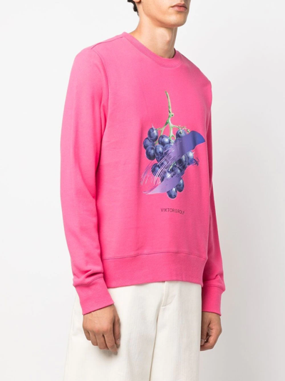 Shop Viktor & Rolf Grape-print Cotton Sweatshirt In Rosa