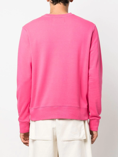 Shop Viktor & Rolf Grape-print Cotton Sweatshirt In Rosa