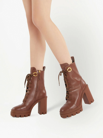Shop Giuseppe Zanotti Cubalibre Leather Ankle Boots In Brown