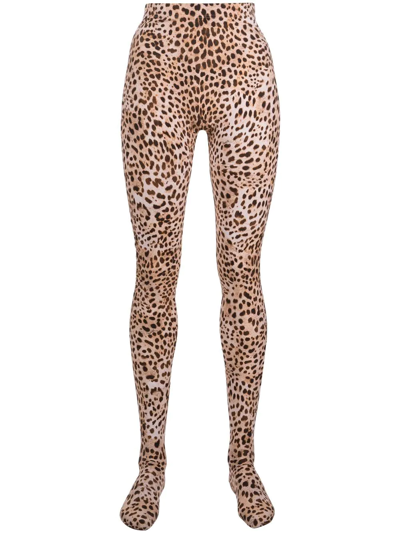 Shop Roberto Cavalli Leopard-print High-waisted Leggings In Brown