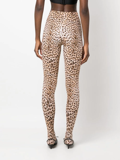 Shop Roberto Cavalli Leopard-print High-waisted Leggings In Brown