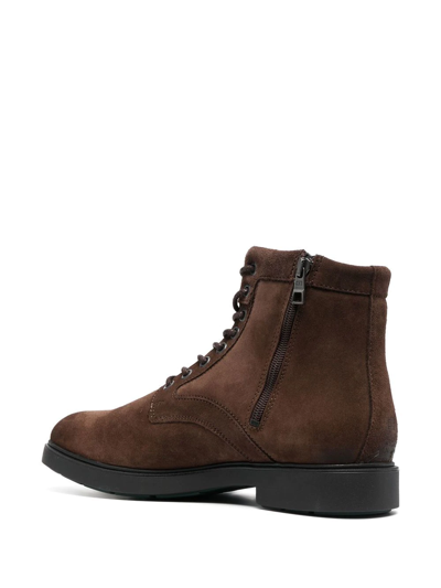 Shop Tommy Hilfiger Elevated Lace-up Suede Boots In Braun