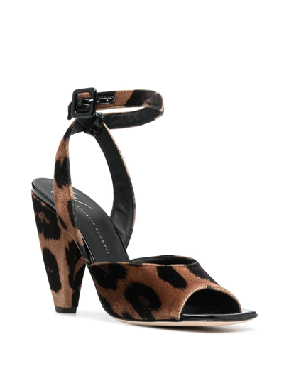 Shop Giuseppe Zanotti 110mm Leopard-print Sandals In Braun