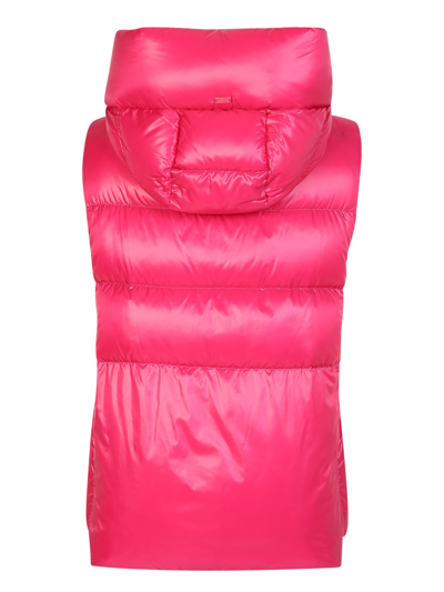 Herno Portofino Sneakers With Logo In Pink