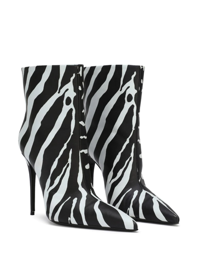 Shop Dolce & Gabbana Zebra-print Ankle Boots In Black