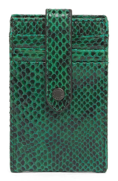 Shop Aimee Kestenberg Vittoria Card Case In Emerald Snake