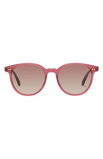 Shop Toms Bellini 52mm Gradient Round Sunglasses In Milky Fuchsia/ Brown Gradient