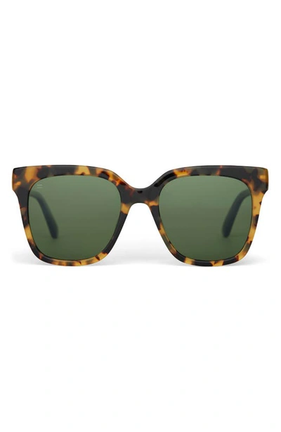 Shop Toms Natasha 53mm Polarized Square Sunglasses In Tortoise/ Bottle Green Polar