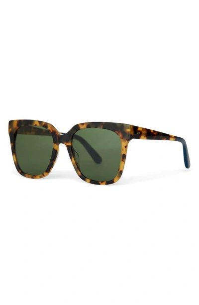 Shop Toms Natasha 53mm Polarized Square Sunglasses In Tortoise/ Bottle Green Polar
