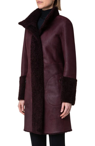 Shop Akris Punto Genuine Shearling Coat In Burgundy