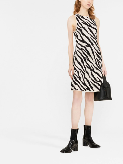 Shop Proenza Schouler White Label Tiger-print Knit Mini Dress In Black